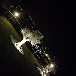 فيلة Rustico La Ca' Dei Genna *